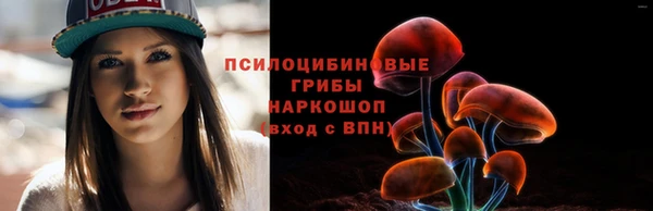 стафф Беломорск