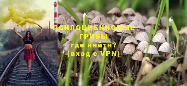 мдпв Белокуриха