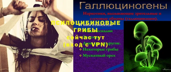 стафф Беломорск