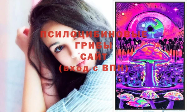 стафф Беломорск