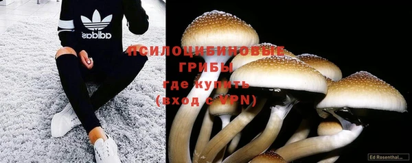мдпв Белокуриха
