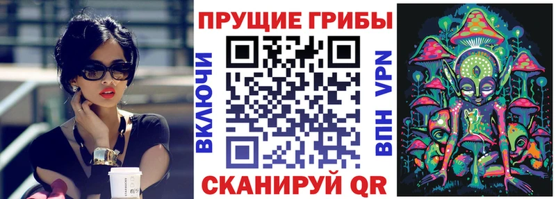 omg ссылка  дарнет шоп  Кушва  Галлюциногенные грибы ЛСД 